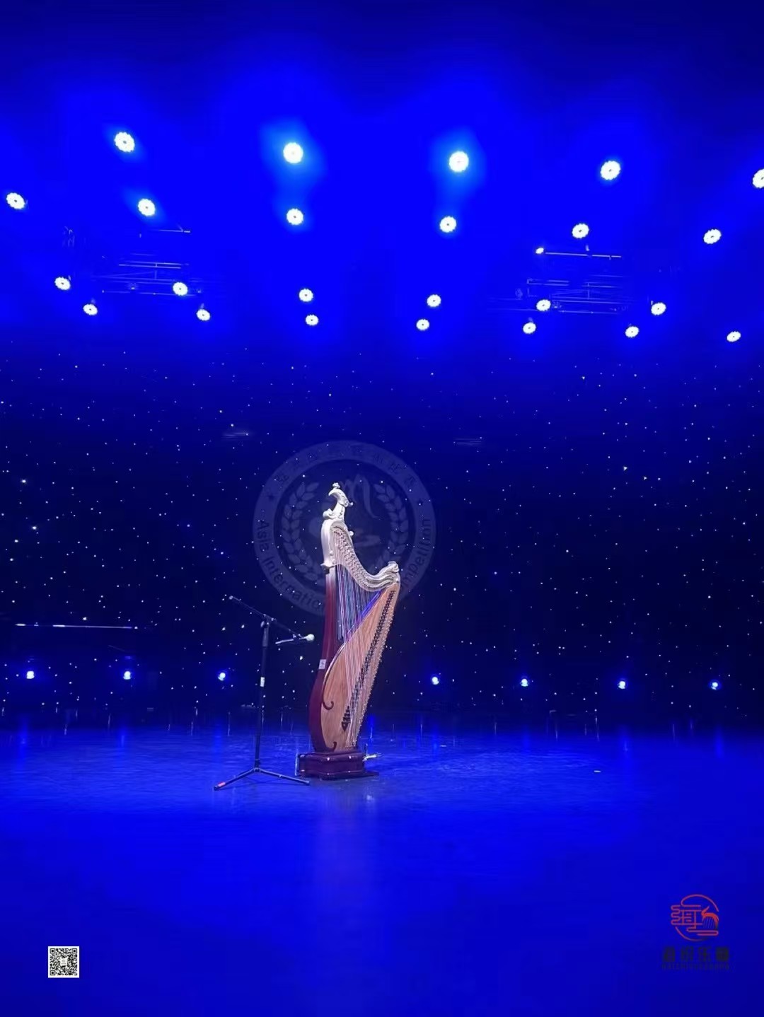  学习箜篌有什么好处？解锁箜篌学习的多元价值 ﻿ 